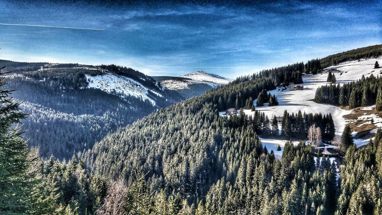 Pension Relax Пец-под-Снежкой Экстерьер фото